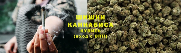 PSILOCYBIN Алексеевка